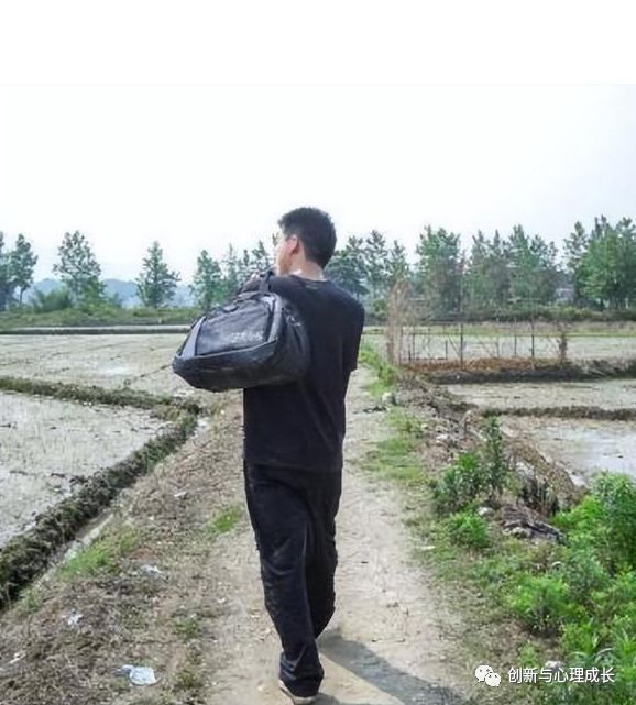 一个准备辍学的15岁高中生心理辅导案例(图2)