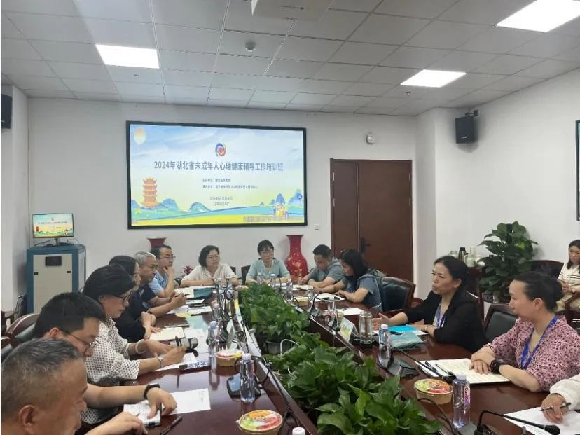 第二届湖北省未成年人心理健康教育宣传月综述(图18)