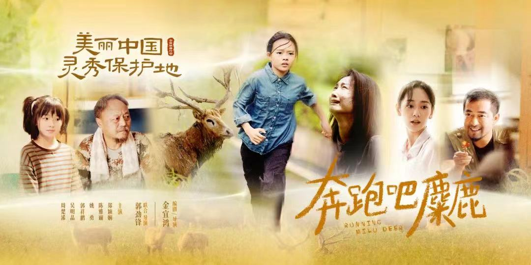 第二届湖北省未成年人心理健康教育宣传月综述(图22)