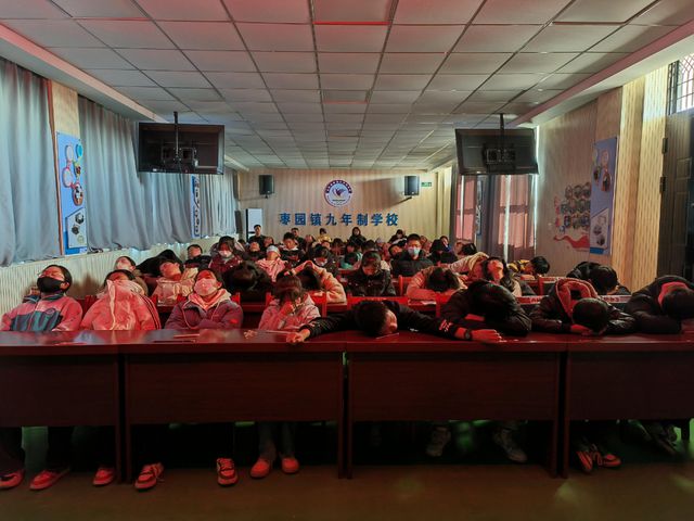 长武县枣园镇邀请西安科技大学开展青少年心理健康辅导活动(图4)