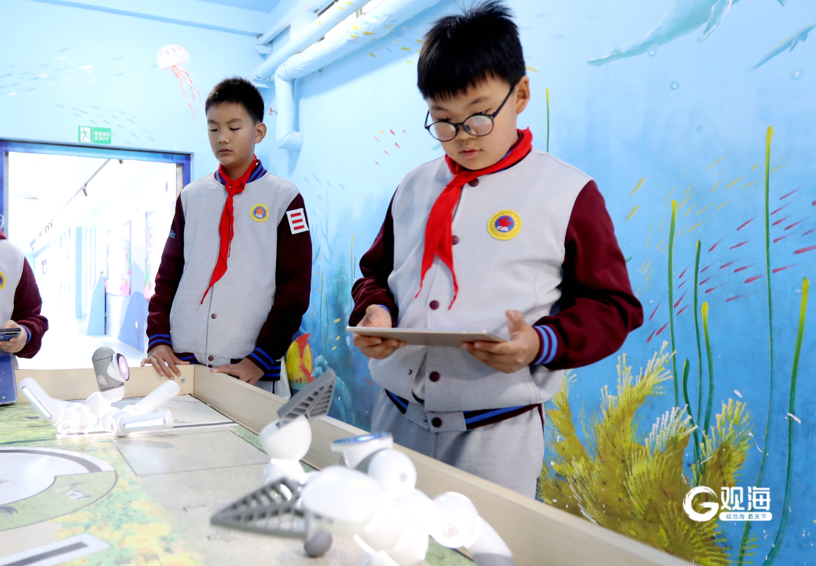 以“协同育人共筑未来”为主题2024山东家庭教育大会在青举行(图2)