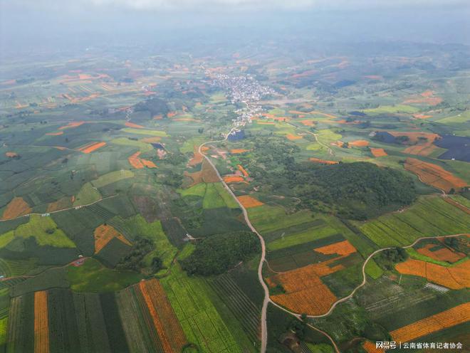 厚植民生福祉融入美好生活彩票公益金为文山公益事业插上翅膀(图5)