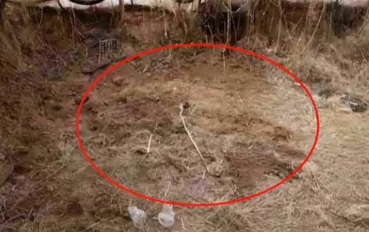 “是真的抗诉”！邯郸初中生被害案判了家属表态网友支持(图3)