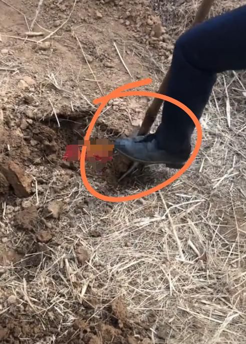 “是真的抗诉”！邯郸初中生被害案判了家属表态网友支持(图9)