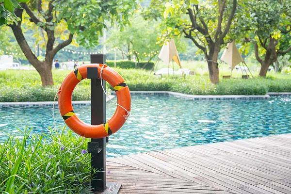 龙8国际：青年早新闻｜2025年春运开启！(图5)