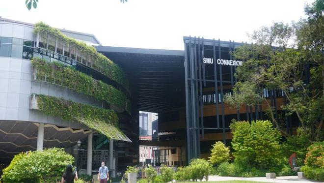 学费激增与教育压力：新加坡家庭的教育支出现状(图4)