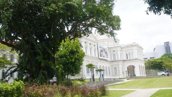 学费激增与教育压力：新加坡家庭的教育支出现状(图3)