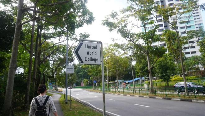 学费激增与教育压力：新加坡家庭的教育支出现状(图7)