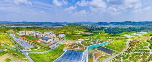 long8：总数全国第一！江苏10个案例入选中国基础教育创新案例(图3)