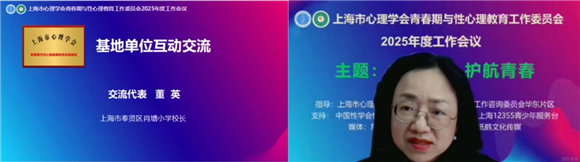 深耕心育强根基赓续奋进启新章——上海市心理学会青春期与性心理教育工作委员会2025年度工作会议(图11)