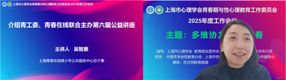 深耕心育强根基赓续奋进启新章——上海市心理学会青春期与性心理教育工作委员会2025年度工作会议(图13)