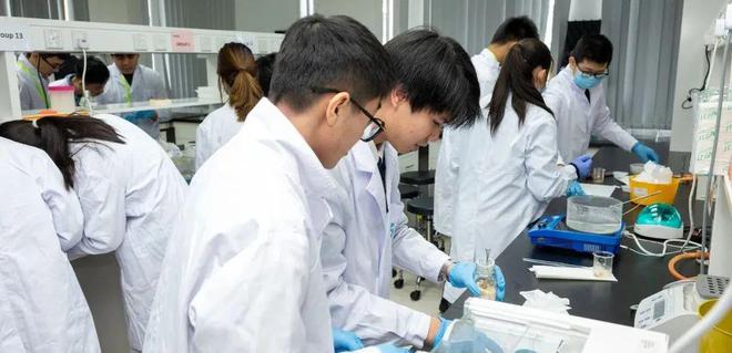 龙8国际：澳洲学区大洗牌家长亏百万学区房“神话破灭”精英教育改革后引发的华人家庭教育焦虑(图6)