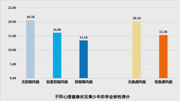【心理健康】蓝皮书报告《2024年青少年心理健康与学业状况调查报告(图6)