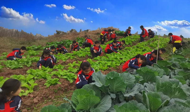 龙8国际：重庆市大足区全力做好“五育并举”赋能学生全面发展(图3)