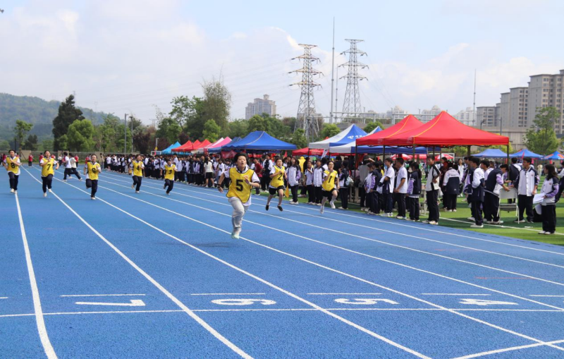 龙8国际：重庆市大足区全力做好“五育并举”赋能学生全面发展(图6)