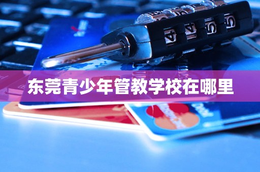 龙8国际：东莞青少年管教学校在哪里(图2)