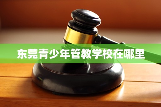 龙8国际：东莞青少年管教学校在哪里(图3)