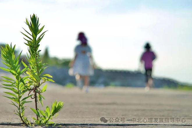 龙8国际：家庭教育公益微课系列1：优质陪伴指南(图2)