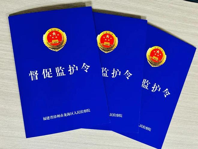 福建新闻广播丨龙海检察：“小红蕾”家庭教育指导好帮手(图8)