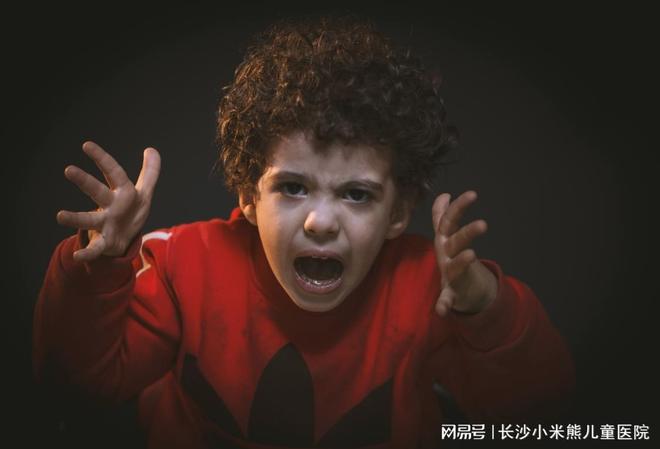 长沙儿童心理咨询中心：青春期孩子情绪暴躁背后的原因与应对策略(图1)
