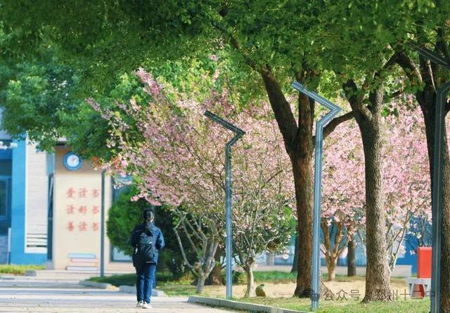 郑州市第十二中学2025年招生简章(图7)