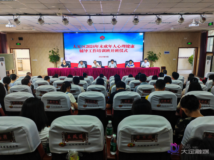 大足区2024年未成年人心理健康辅导工作培训会举行(图3)