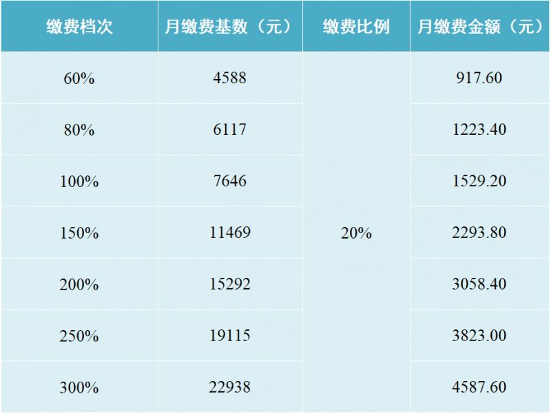 2025成都社保缴费标准（单位+个人）(图2)