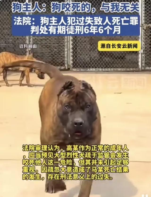 明年开始咱普通人能硬气点了：这5件事法律给撑腰(图3)