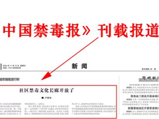 经验聚焦“法治＋”谱写未成年人法治教育新篇章(图4)