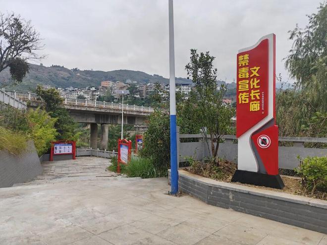 经验聚焦“法治＋”谱写未成年人法治教育新篇章(图5)