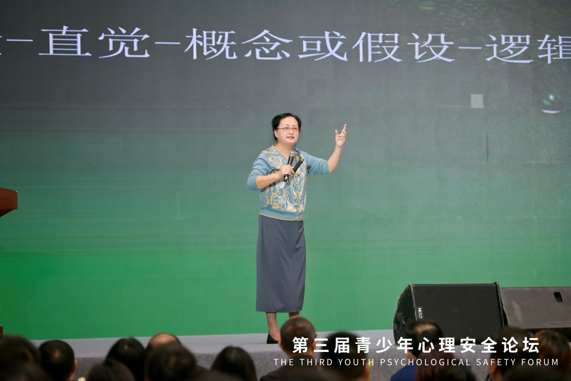 long8：聚焦“问题学生和问题教育”第三届青少年心理安全论坛举办(图5)