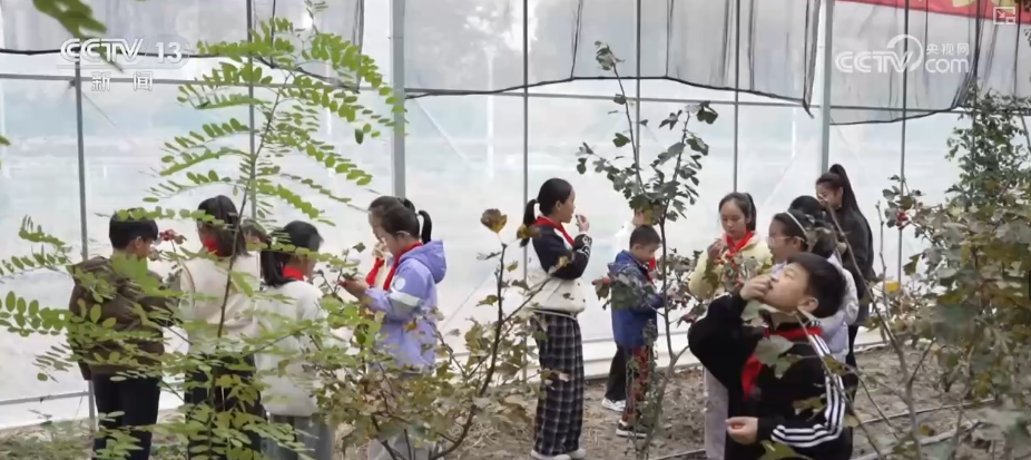 百姓“家门口”享受优质家庭教育服务多种方式帮助家长缓解“育儿焦虑”(图4)