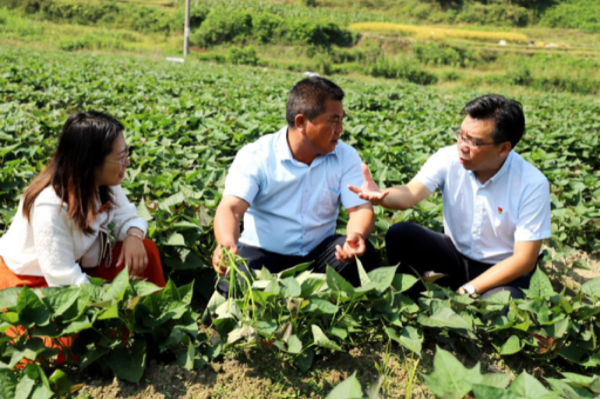 龙8国际：跨越7000亿！中国人寿迎来发展新里程碑(图3)