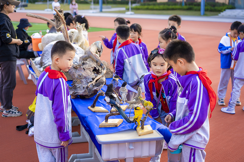 龙8国际：弋江春水向“新”流丨科学教育的“加法题”如何答？(图3)