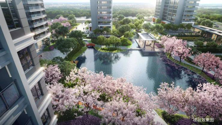 2024最新!高铁新城和风雅信和风雅信日系精工豪宅户型交通配套价格全解析(图5)