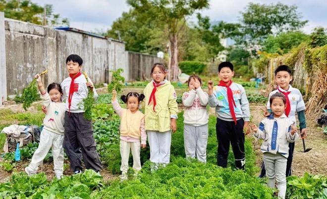 小鸡、小兔、小虫子……这所小学的孩子们童年有这些“爱的伙伴”(图6)