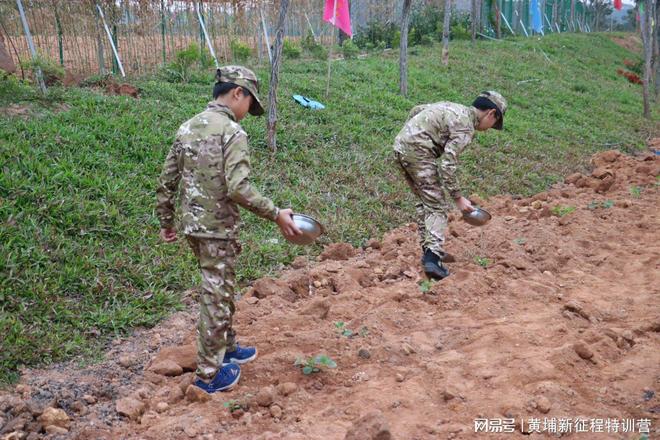 龙8国际：高评分黄埔军校少年特训机构实力推荐榜(图2)