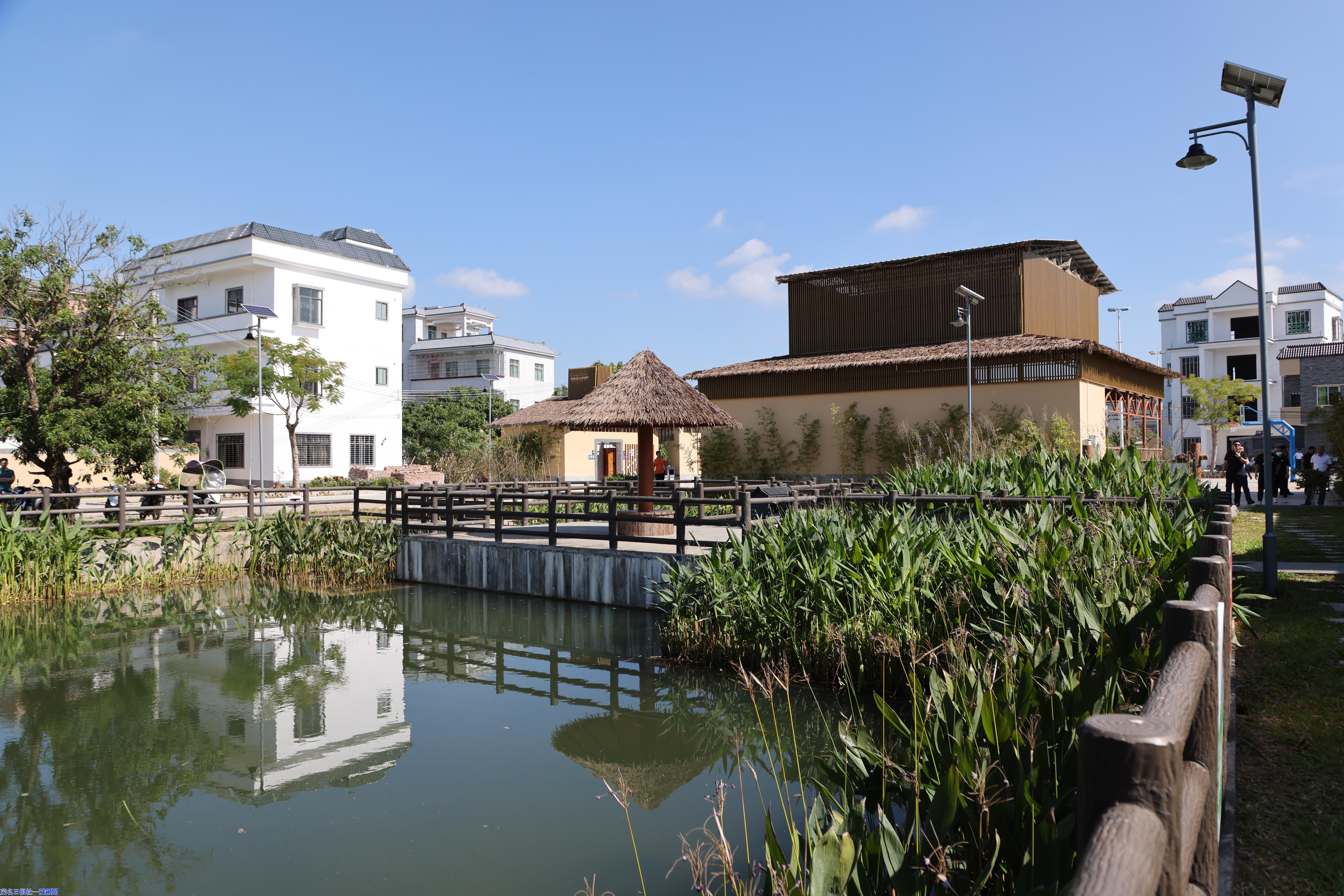 茂名市2025年十件民生实事项目全部完成(图8)