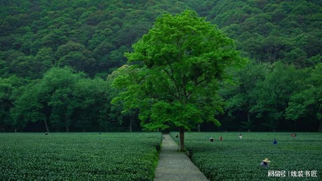 惠州心理咨询机构惠州婚姻家庭青少年心理咨询最新推荐(图3)